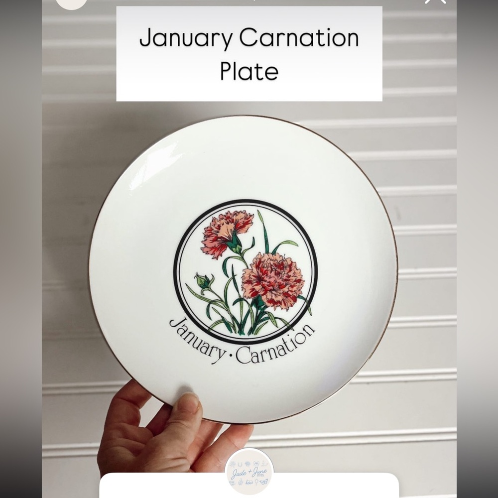 January Carnation Decorative Plate